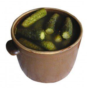 Lacto Fermented Pickles