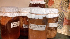 Jars of Kombucha Fermenting