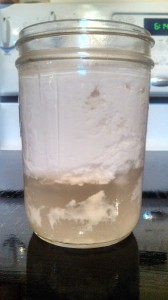 Kefir: Curd Separated from Whey